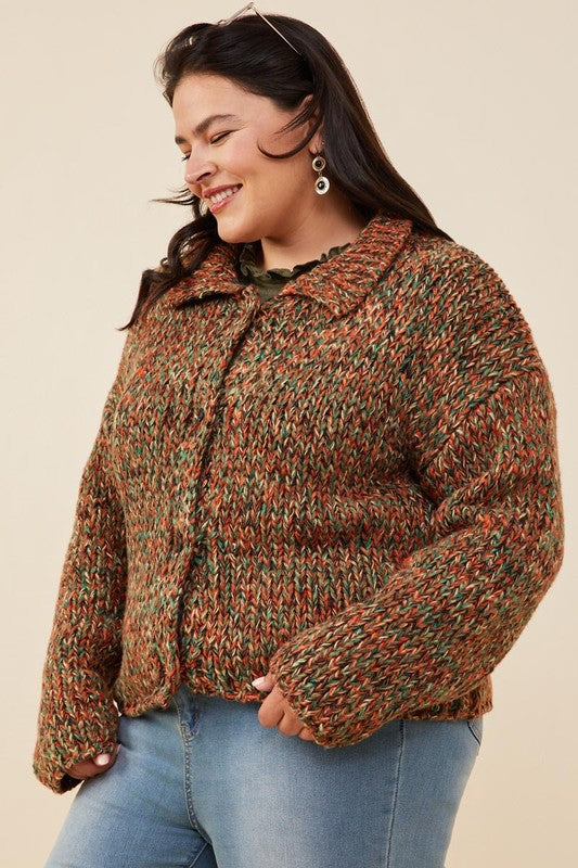 Multicolor Collared Button Sweater Cardigan