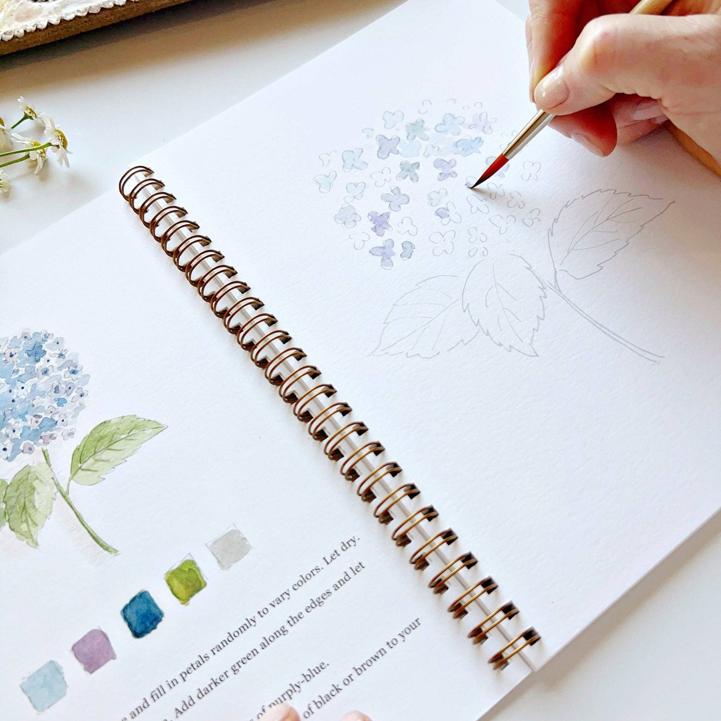Watercolor Workbook | Flowers