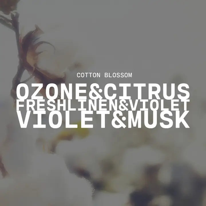 Milkhouse Candle Co. | Cotton Blossom