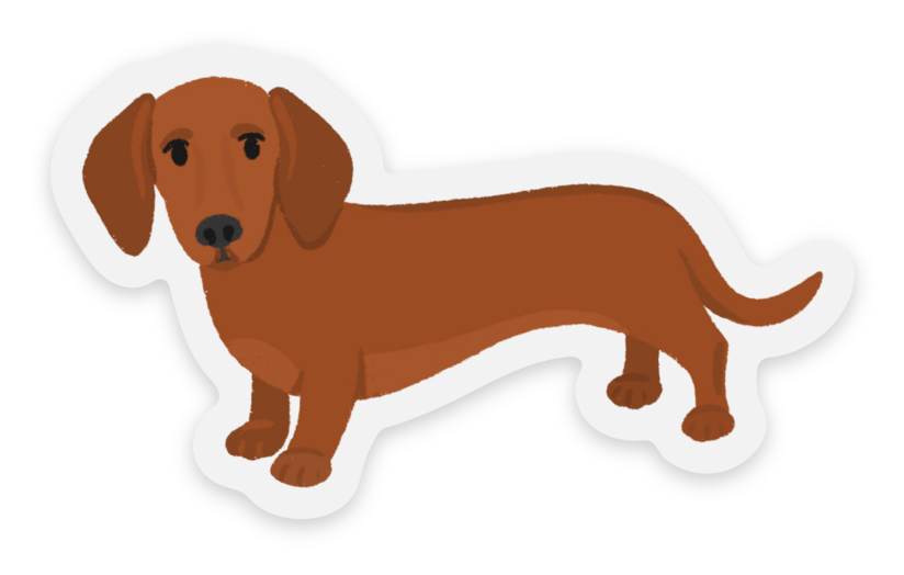 Sticker | Daschund