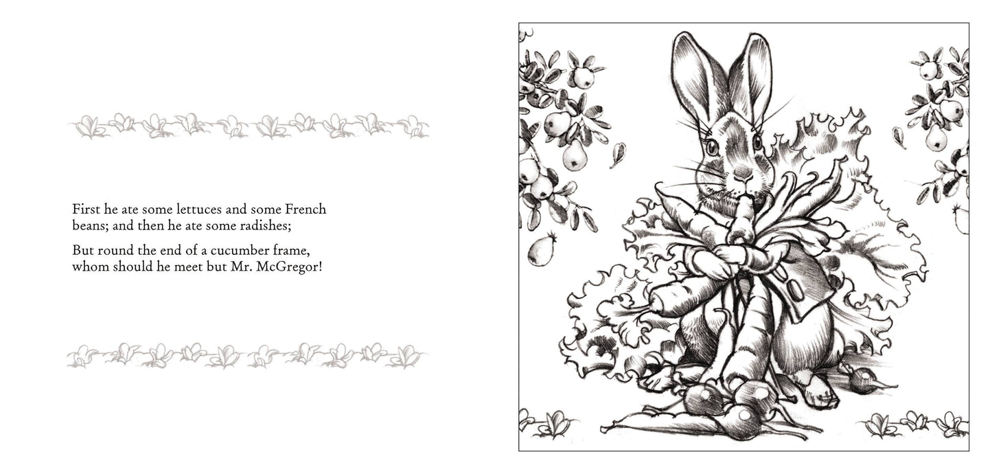 The Peter Rabbit Coloring Book (Classic Edition)