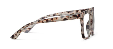 Next Level Progressive Readers | Gray Tortoise