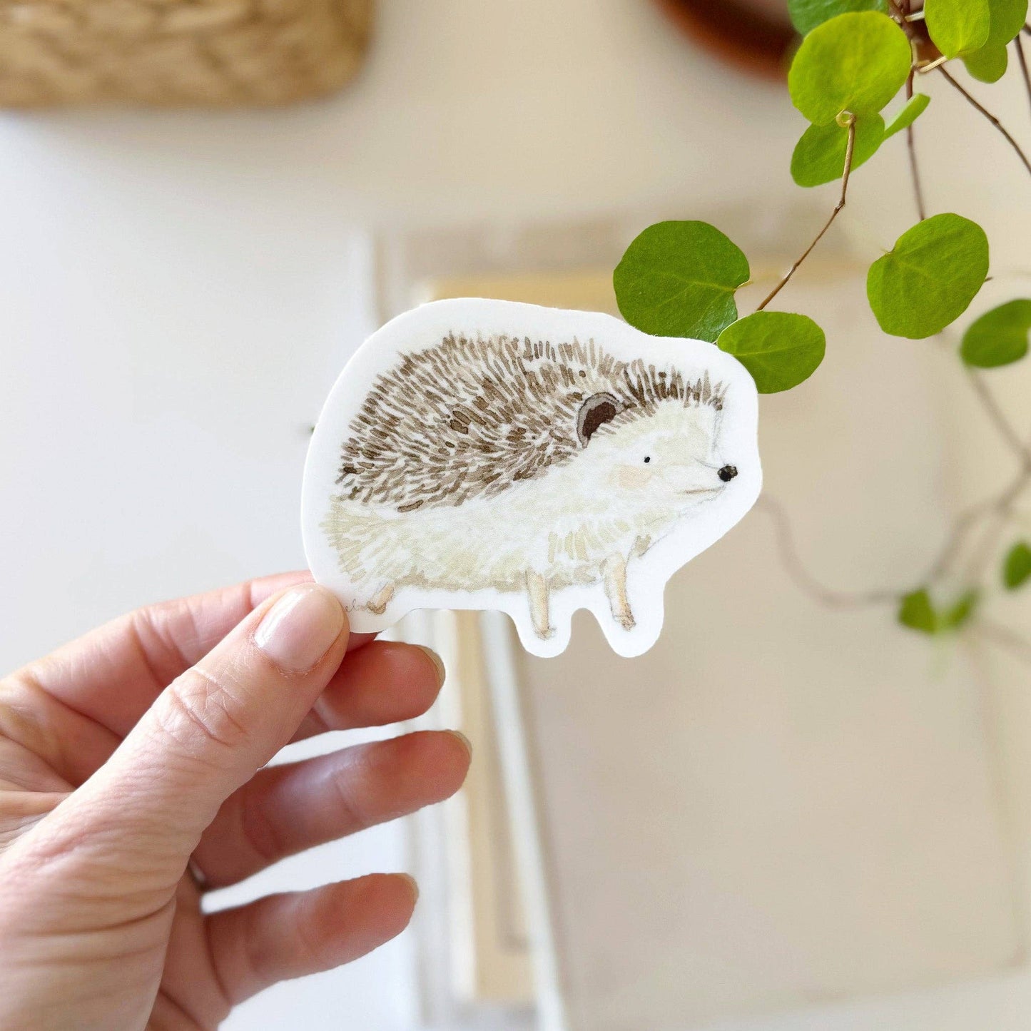 Sticker | Hedgehog