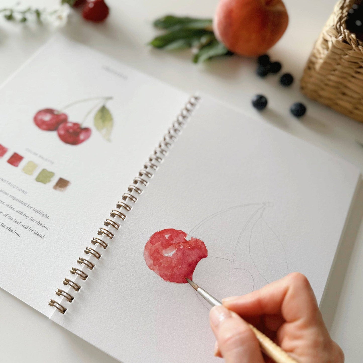 Watercolor Workbook | Fruit
