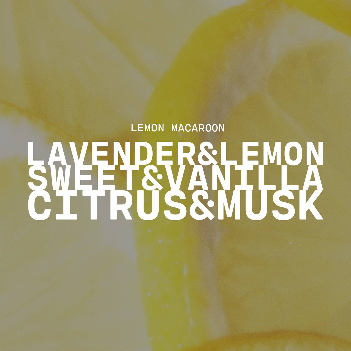 Milkhouse Candle | Lemon Macaroon