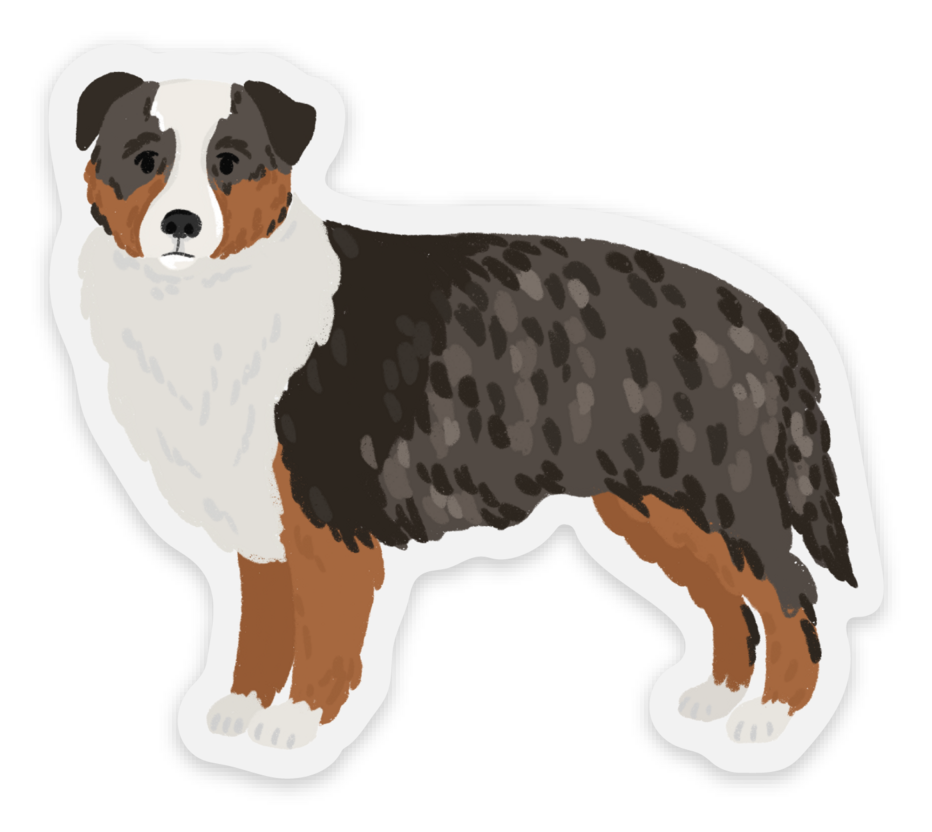 Sticker | Australian Shepherd