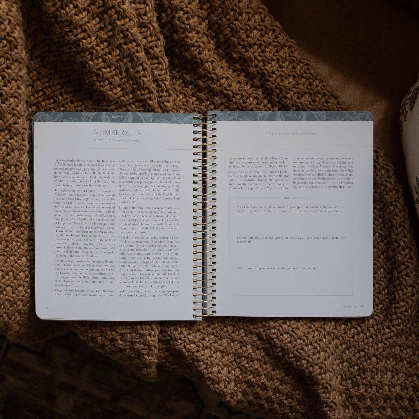 A Year in the Bible | 365 Day Bible Study | Volume 1