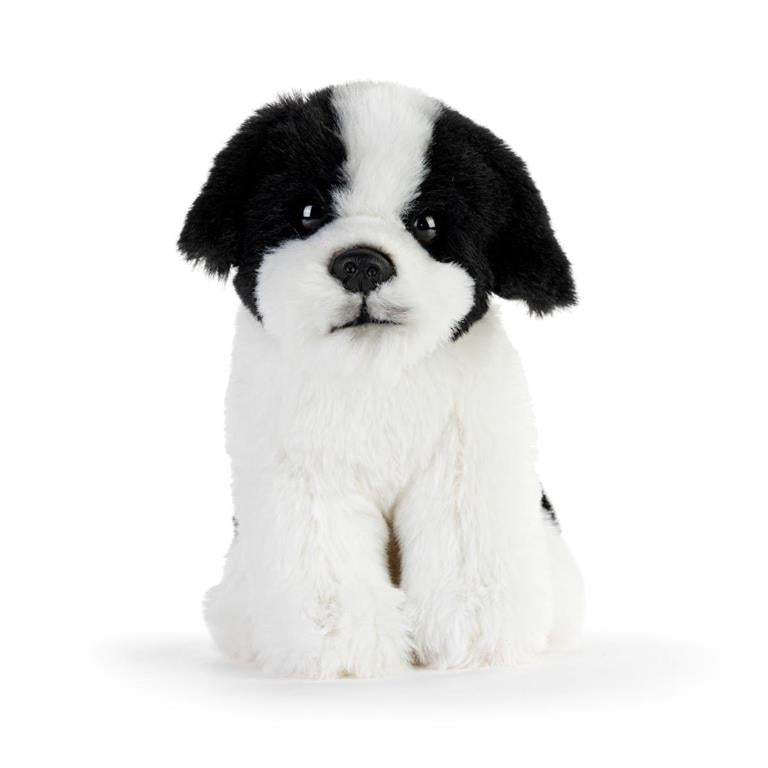 Havanese Beanbag