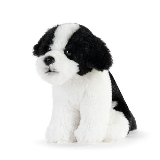 Havanese Beanbag