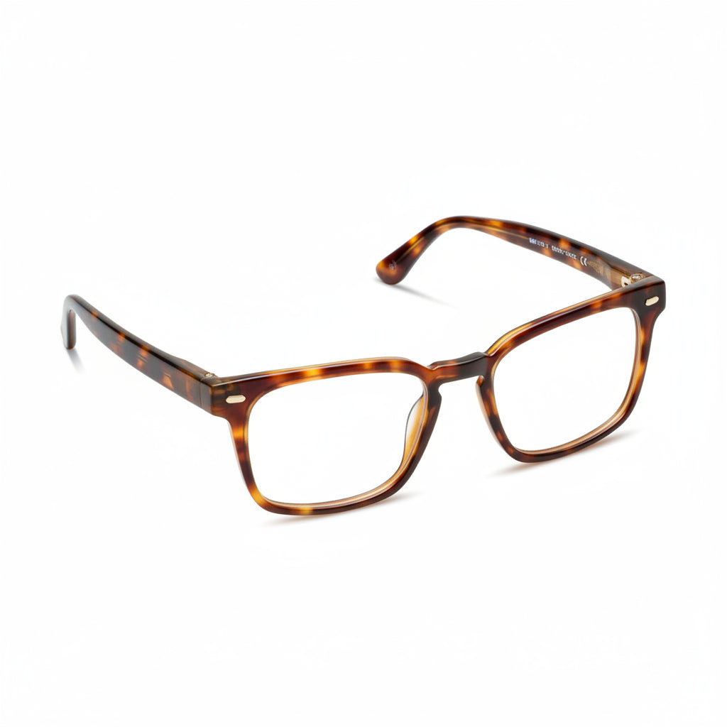 Jude Progressive Readers | Charcoal Horn