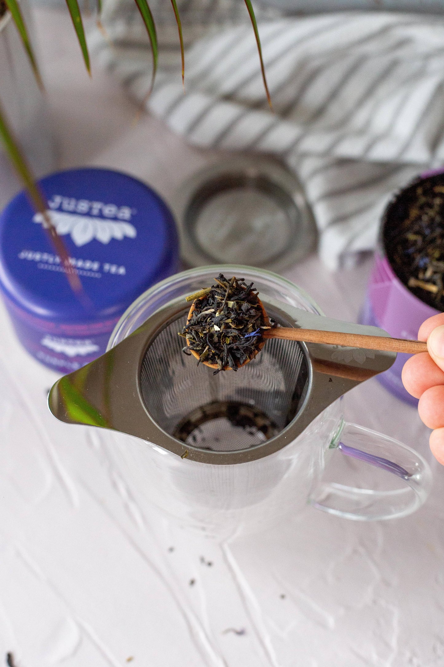 Tea Infuser with Coaster/Lid