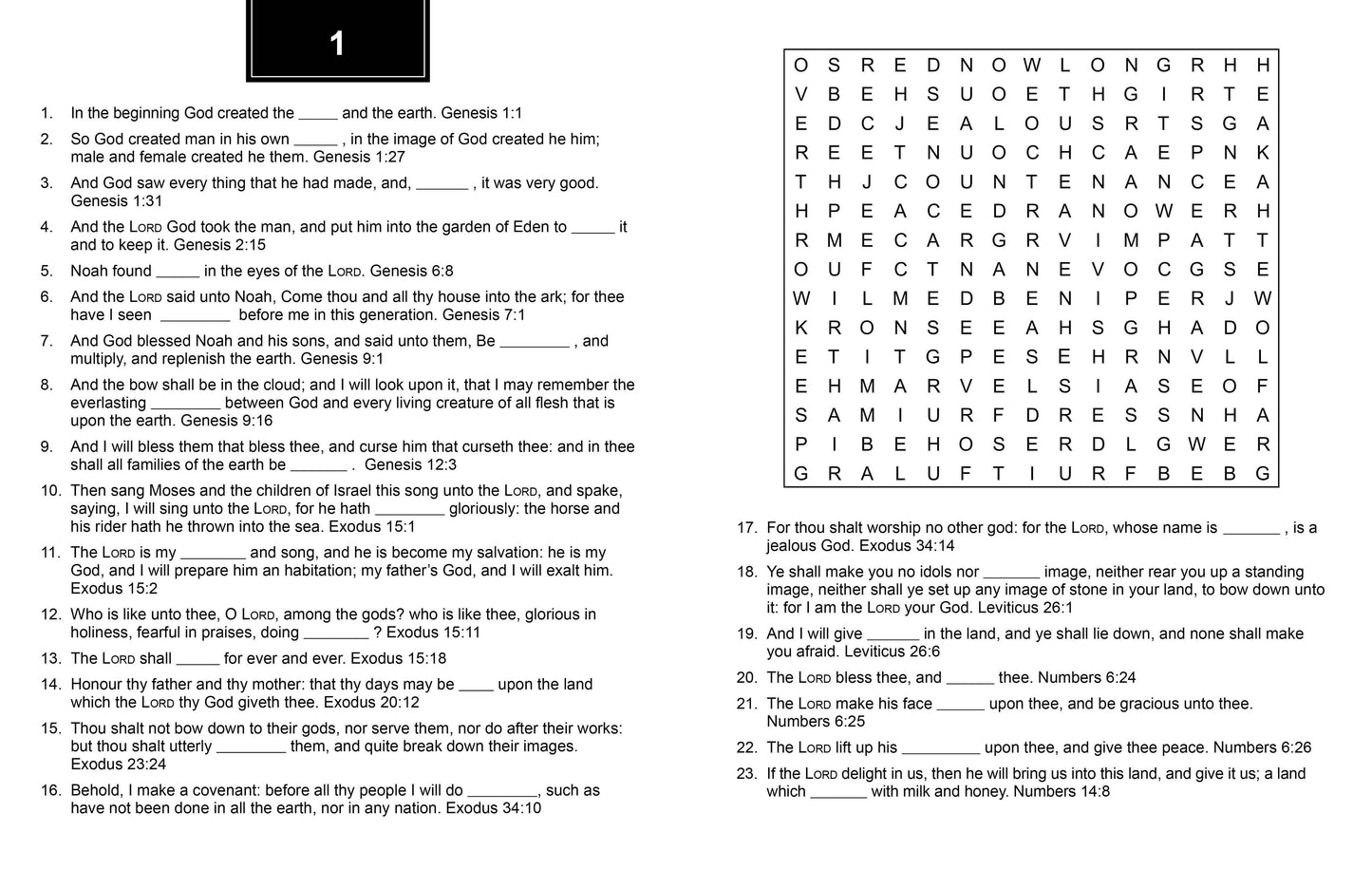 Bible Memory Verse Challenge Word Searches | Large Print