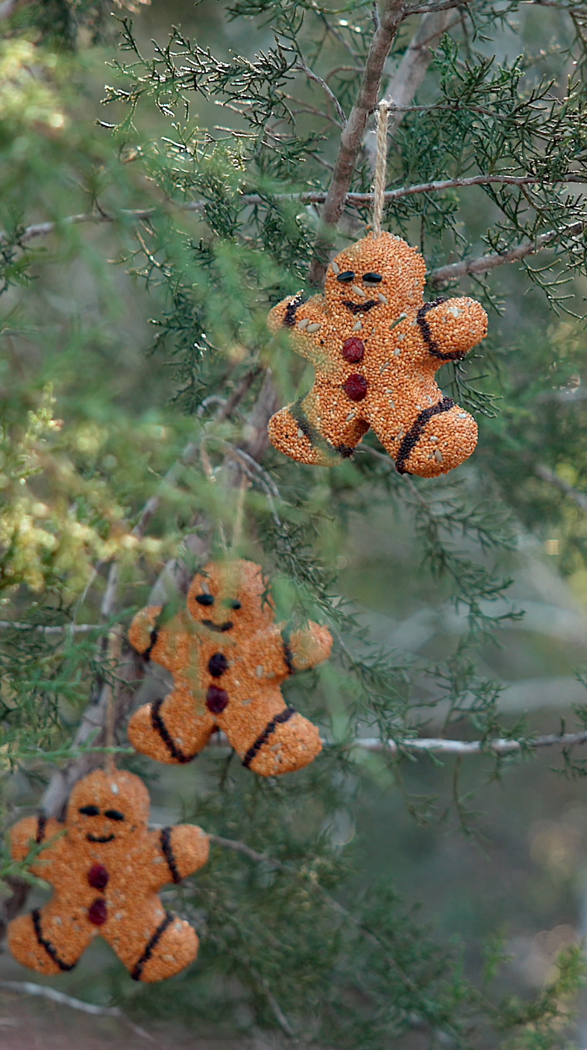 Gingerbread Men - 3 Pack Bird Feeder