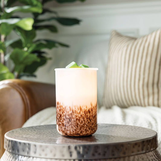 Illumination Warmer | Tiger Shell