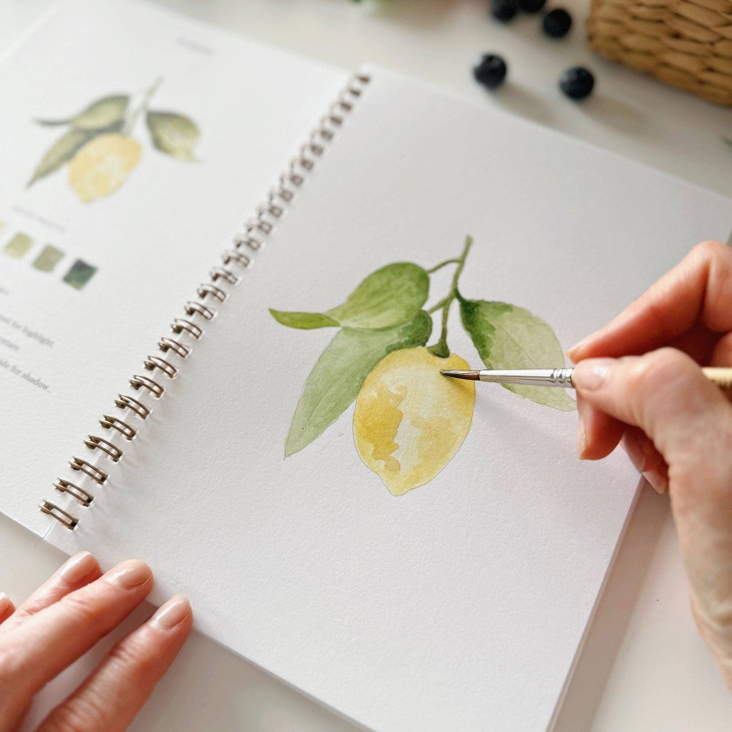 Watercolor Workbook | Fruit
