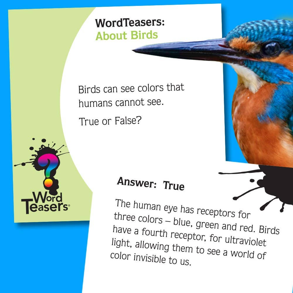 Word Teasers | About Birds