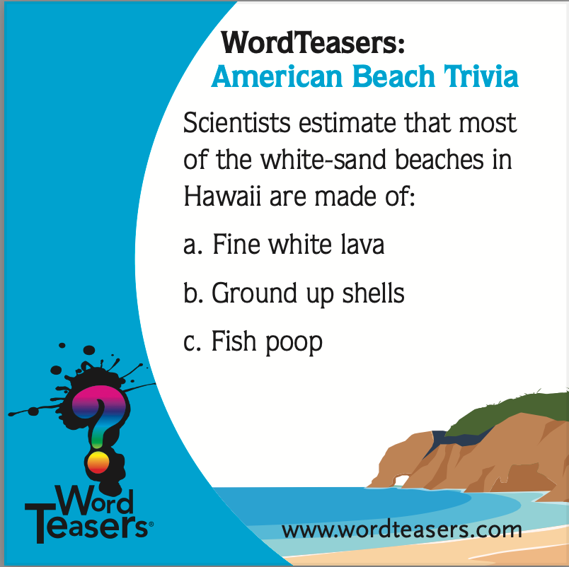 Word Teasers |  American Beach Trivia