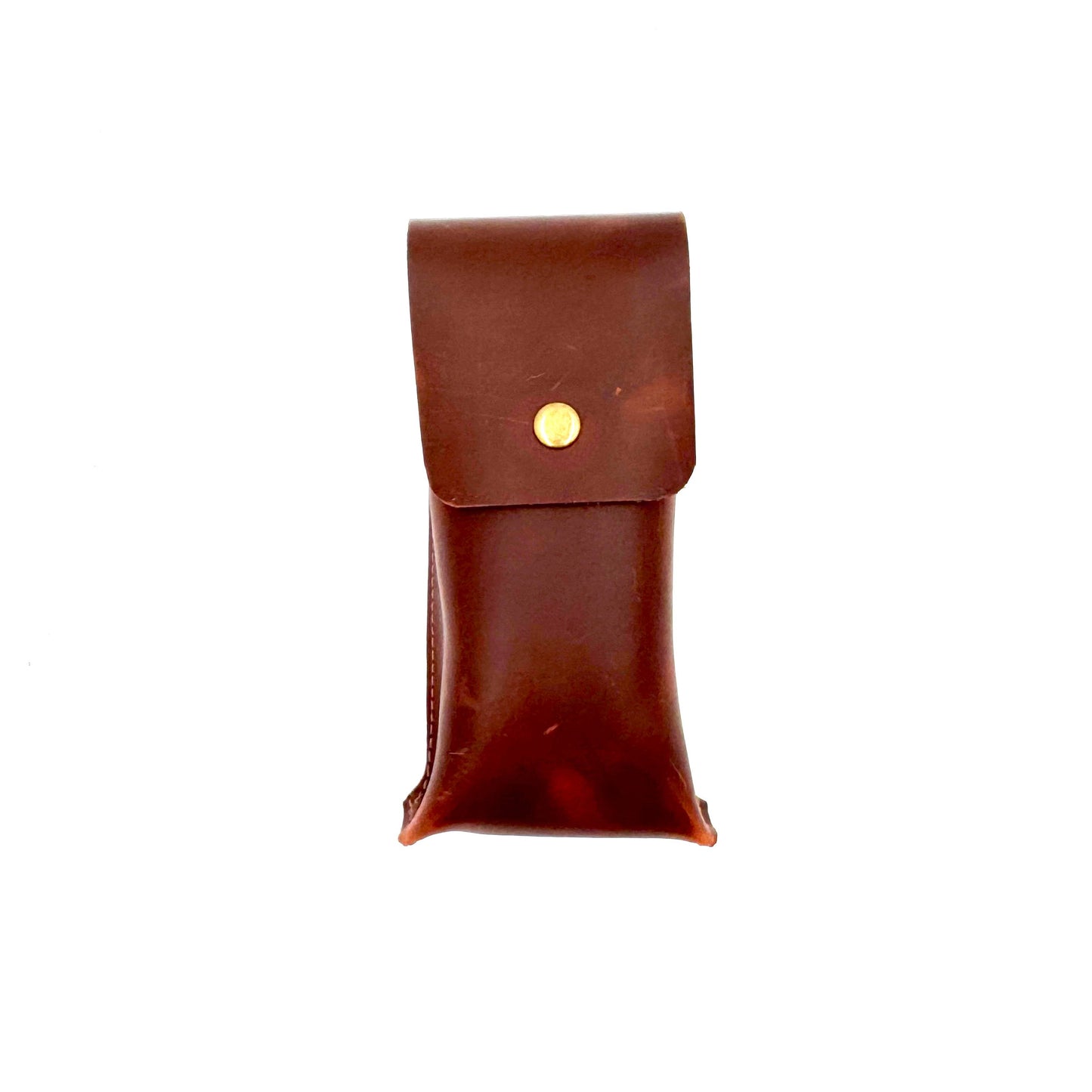 Protean  Leather Pouch