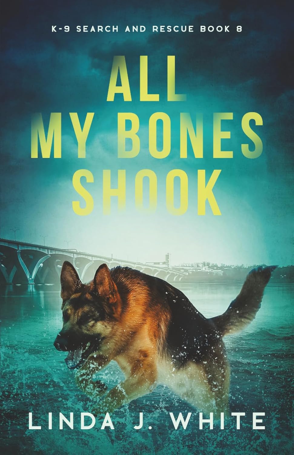 All My Bones Shook | Linda J. White