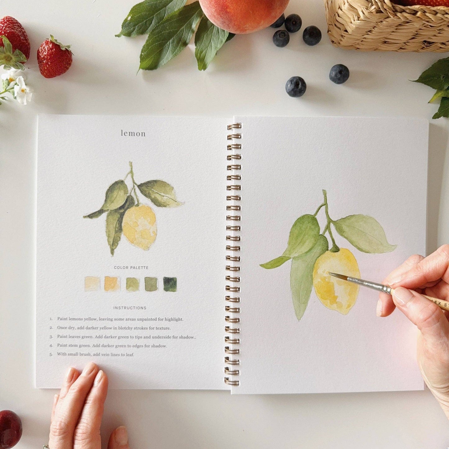Watercolor Workbook | Fruit