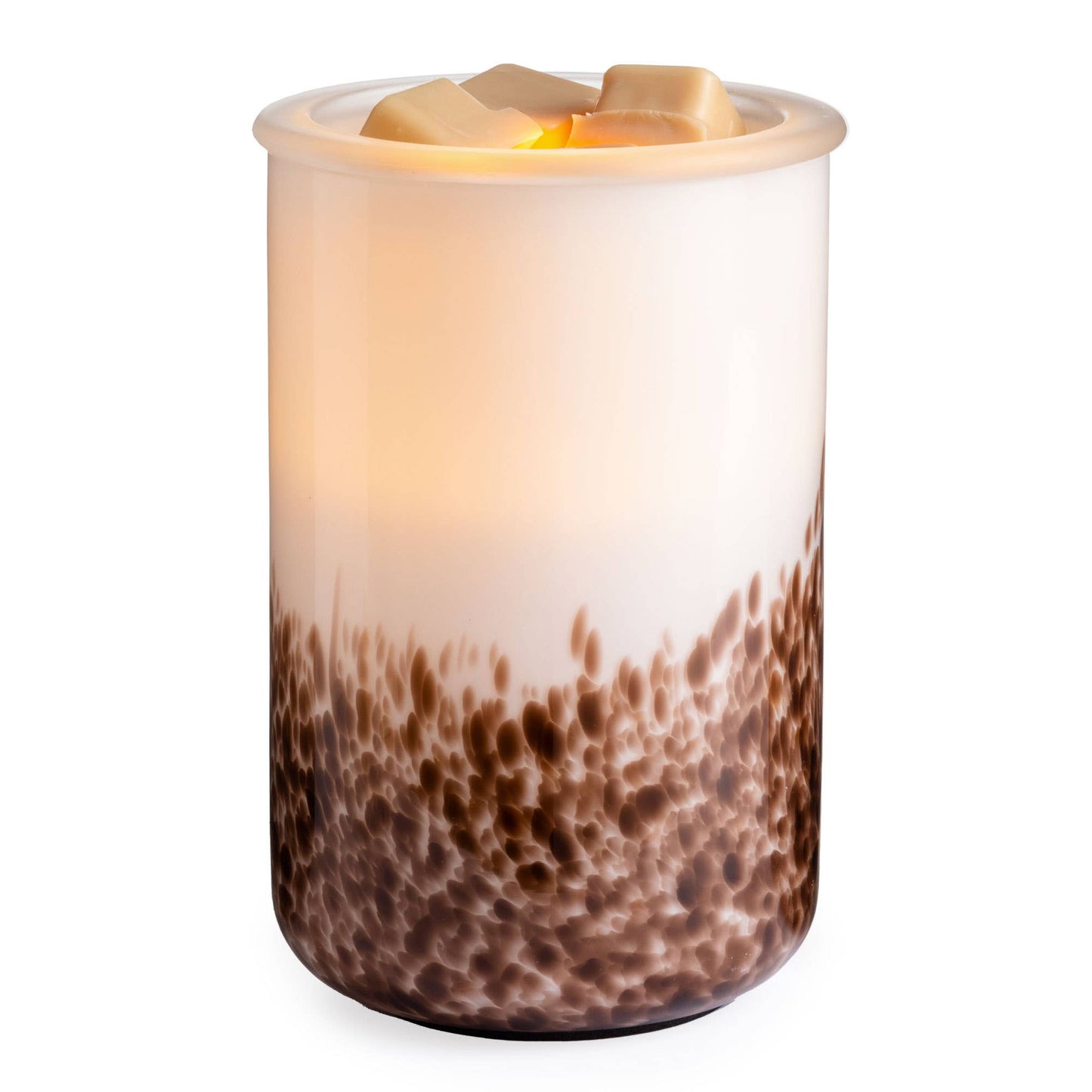 Illumination Warmer | Tiger Shell