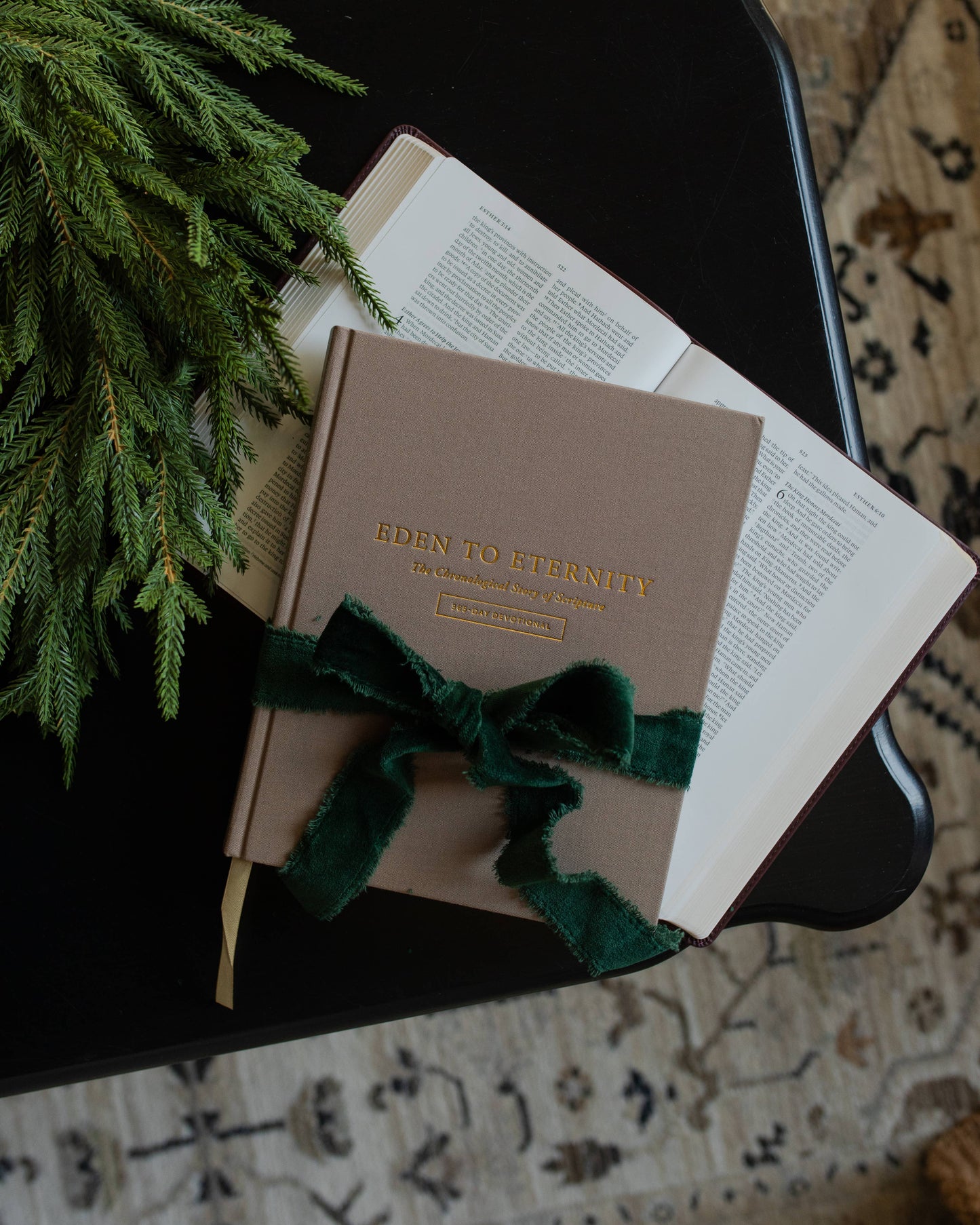 Eden to Eternity | 365 Day Devotional