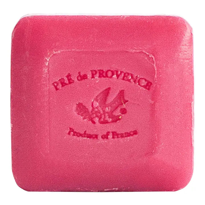 Guest Soap