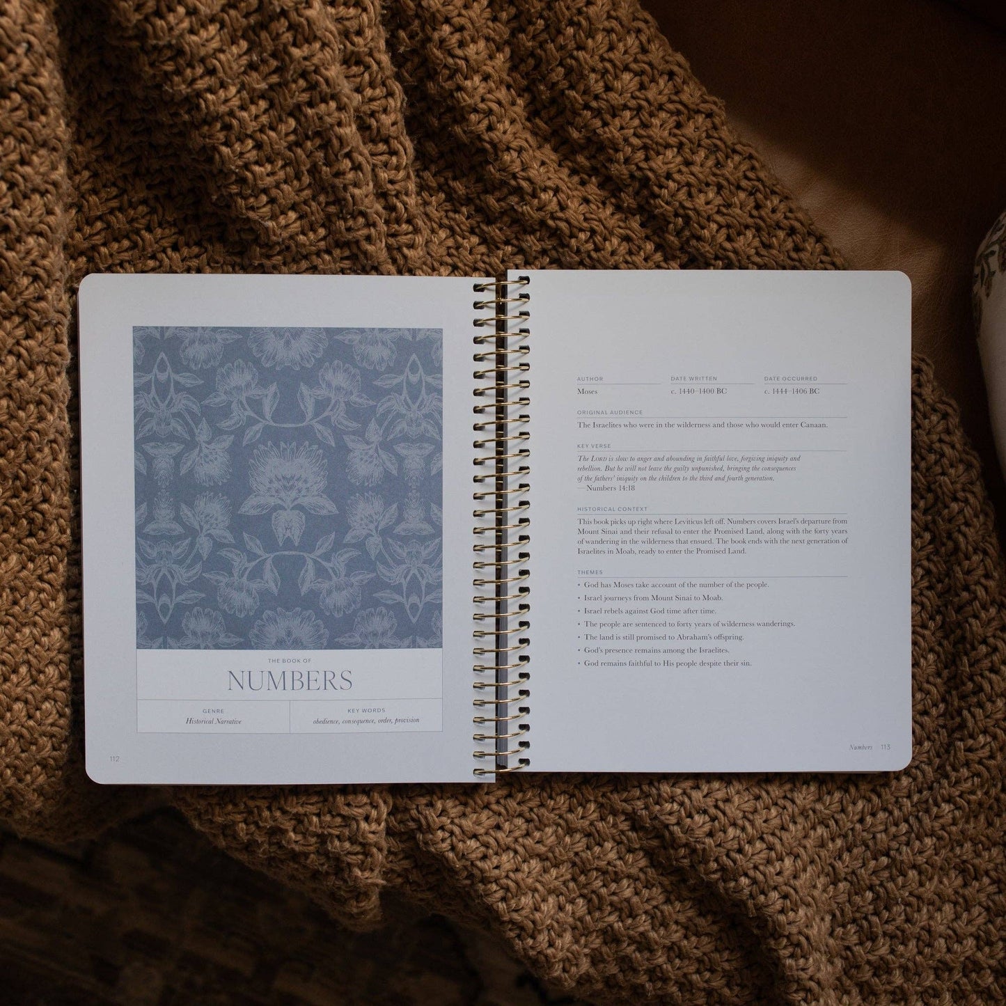 A Year in the Bible | 365 Day Bible Study | Volume 1