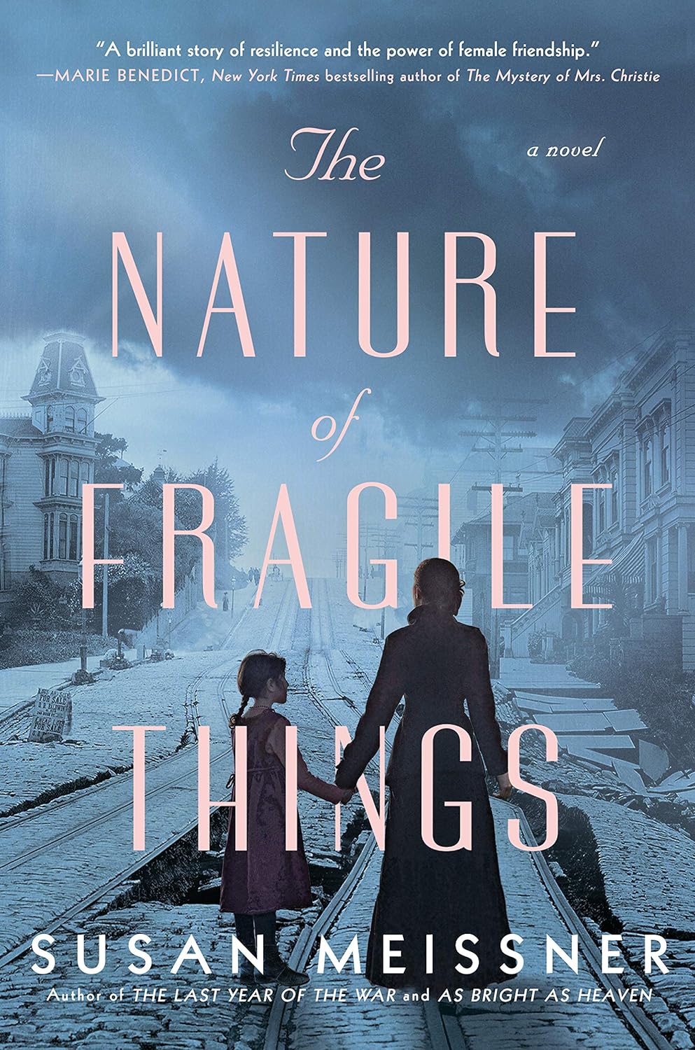 The Nature of Fragile Things | Susan Meissner