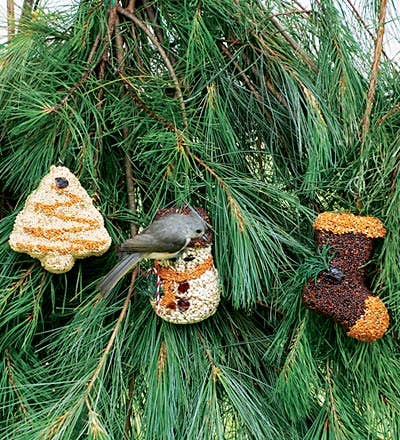 Christmas Shapes - 3Pk- Bird Feeders