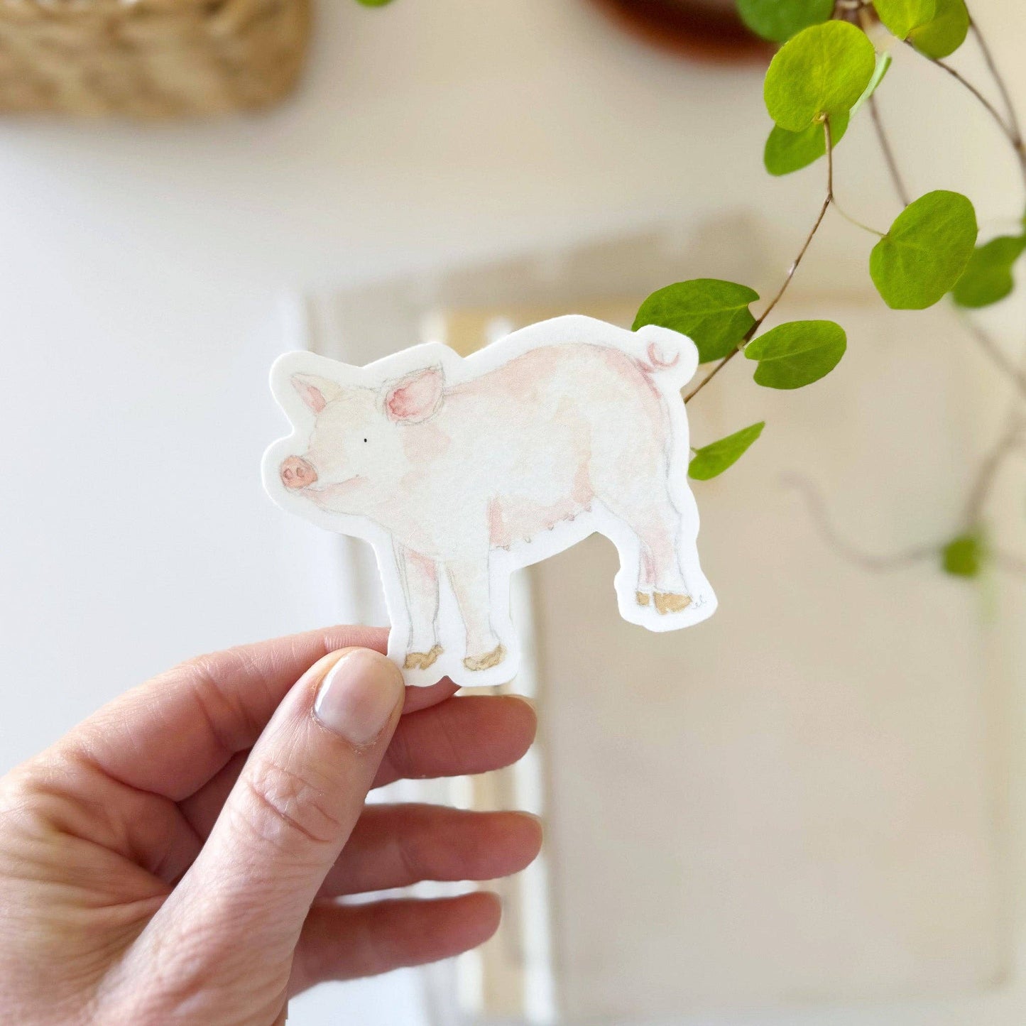 Sticker | Pig
