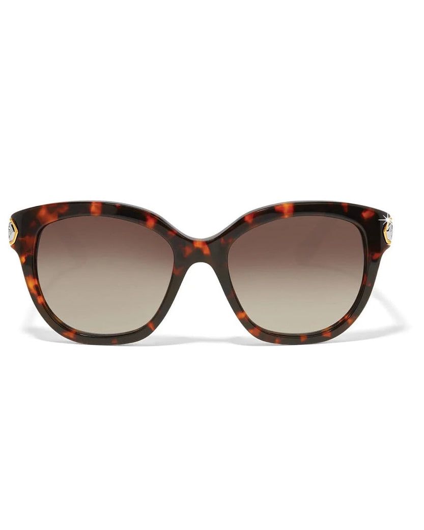 Intrigue Tortoise Sunglasses