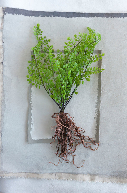 Faux Fern with Exposed Roots