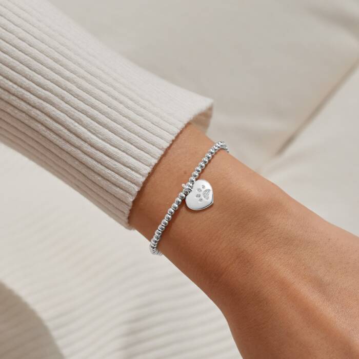 A Little ‘Pets Leave Pawprints On Our Hearts’ Bracelet