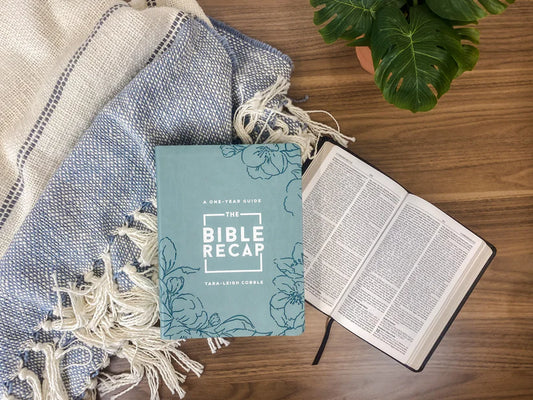 The Bible Recap Deluxe One Year Guide
