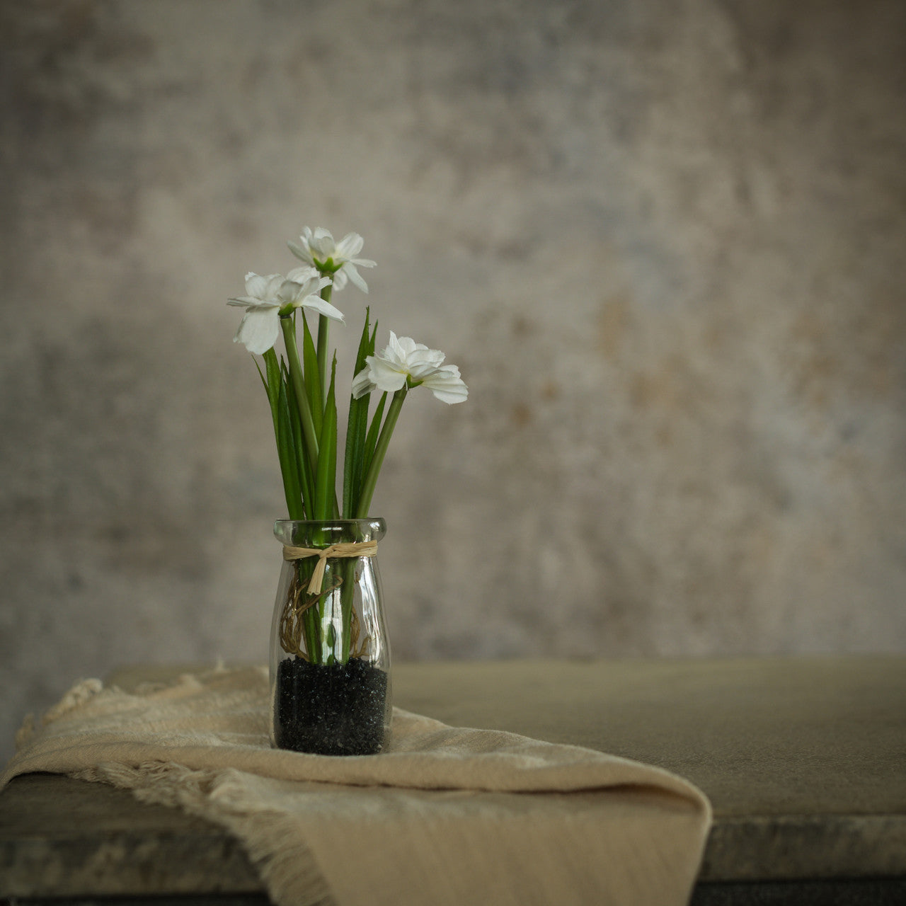 Potted White Daisy