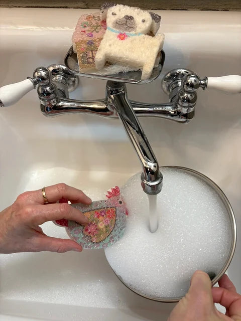 Pop Up Sponges | Chicken