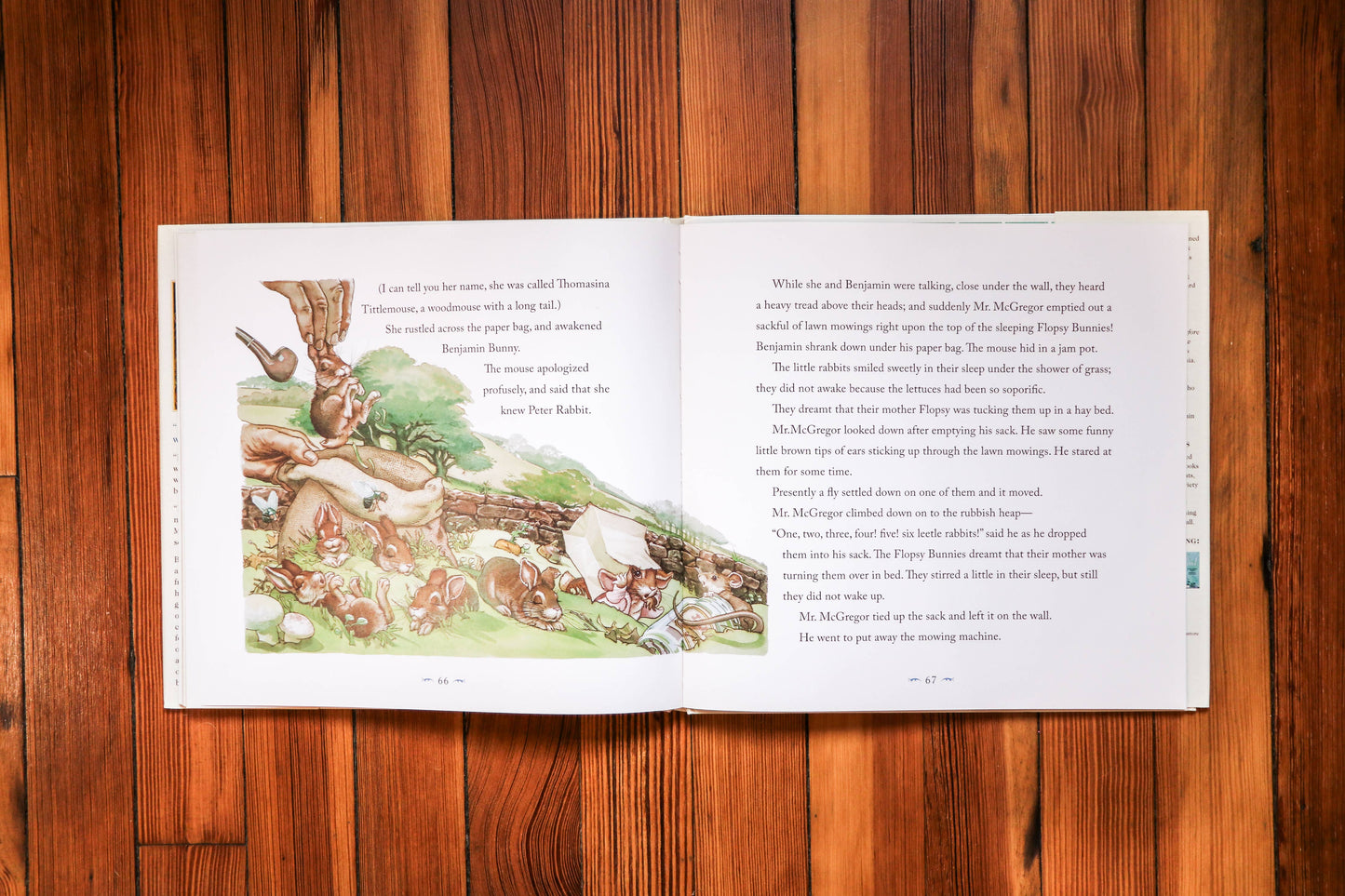 The Classic Tale of Peter Rabbit Hardcover: The Classic Ed