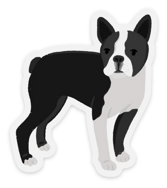 Sticker | Boston Terrier