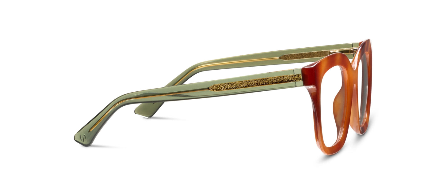 Fanfare Progressive Readers | Blond Tortoise & Green