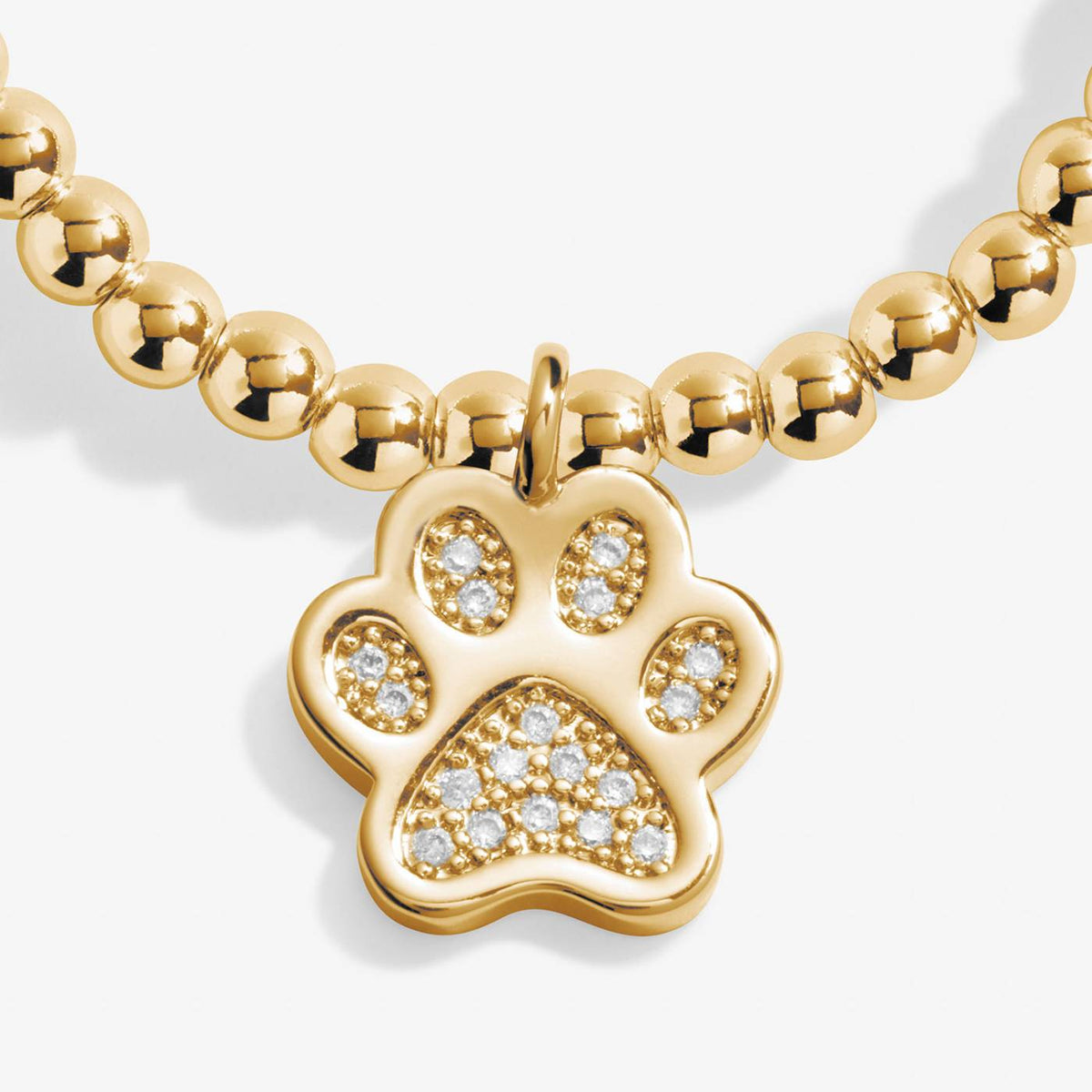 A Little 'Love Has Four Paws' Bracelet
