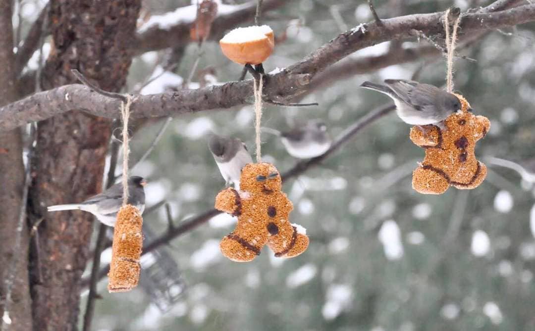 Gingerbread Men - 3 Pack Bird Feeder