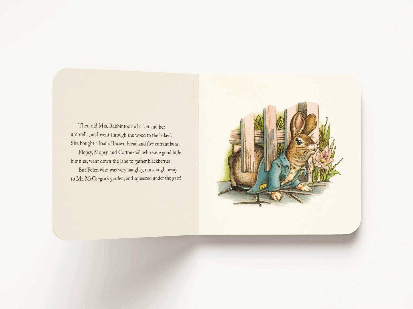 The Classic Tale of Peter Rabbit Plush Gift Set