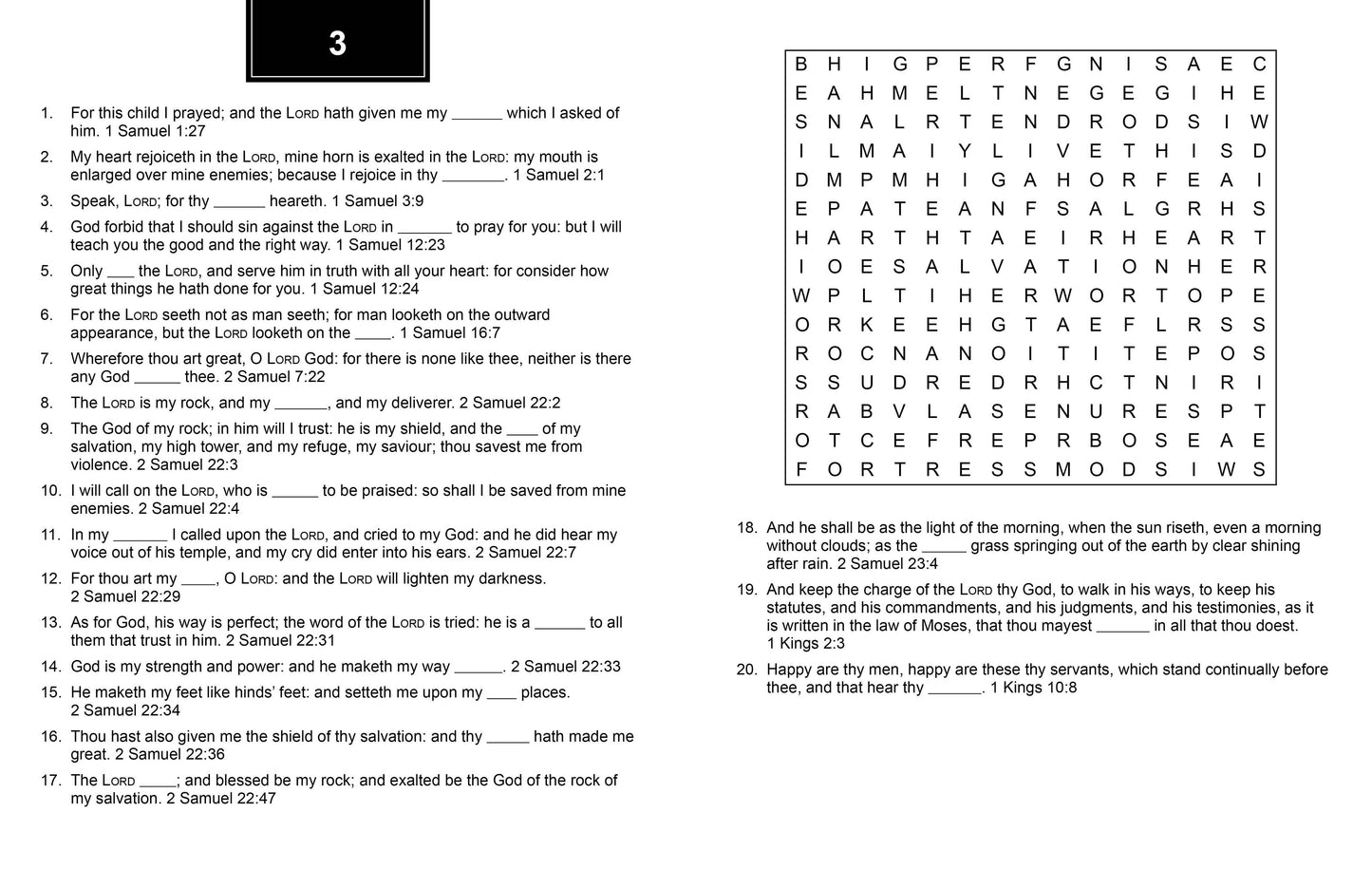 Bible Memory Verse Challenge Word Searches | Large Print