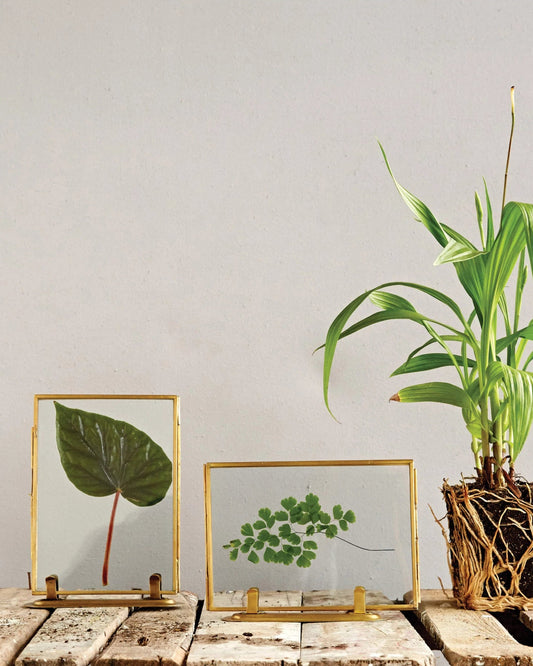 Brass and Glass Photo Frame