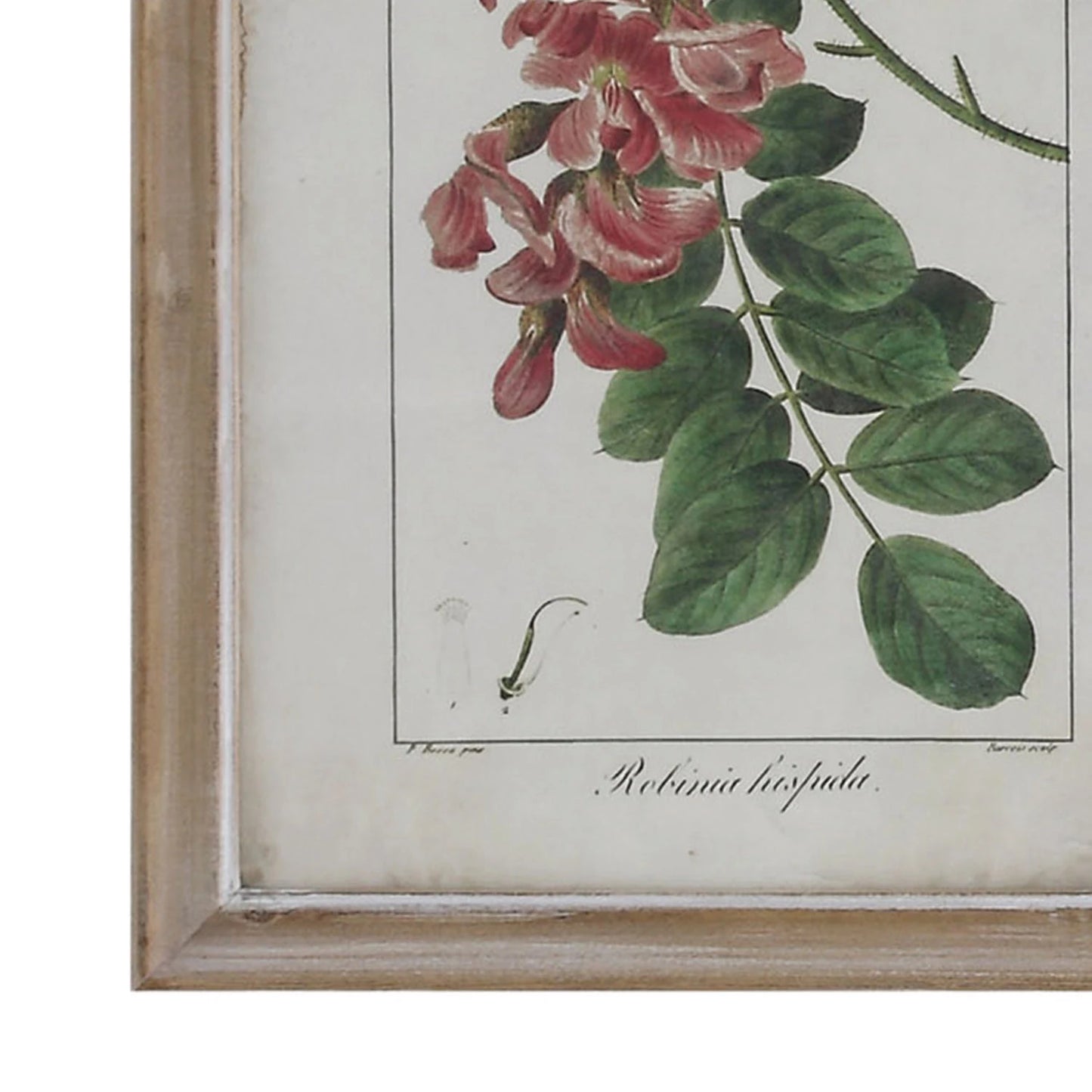 Framed Wall Decor with Floral Print