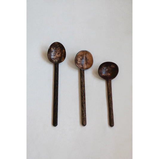 Coconut Shell Spoon with Mango Wood Handle