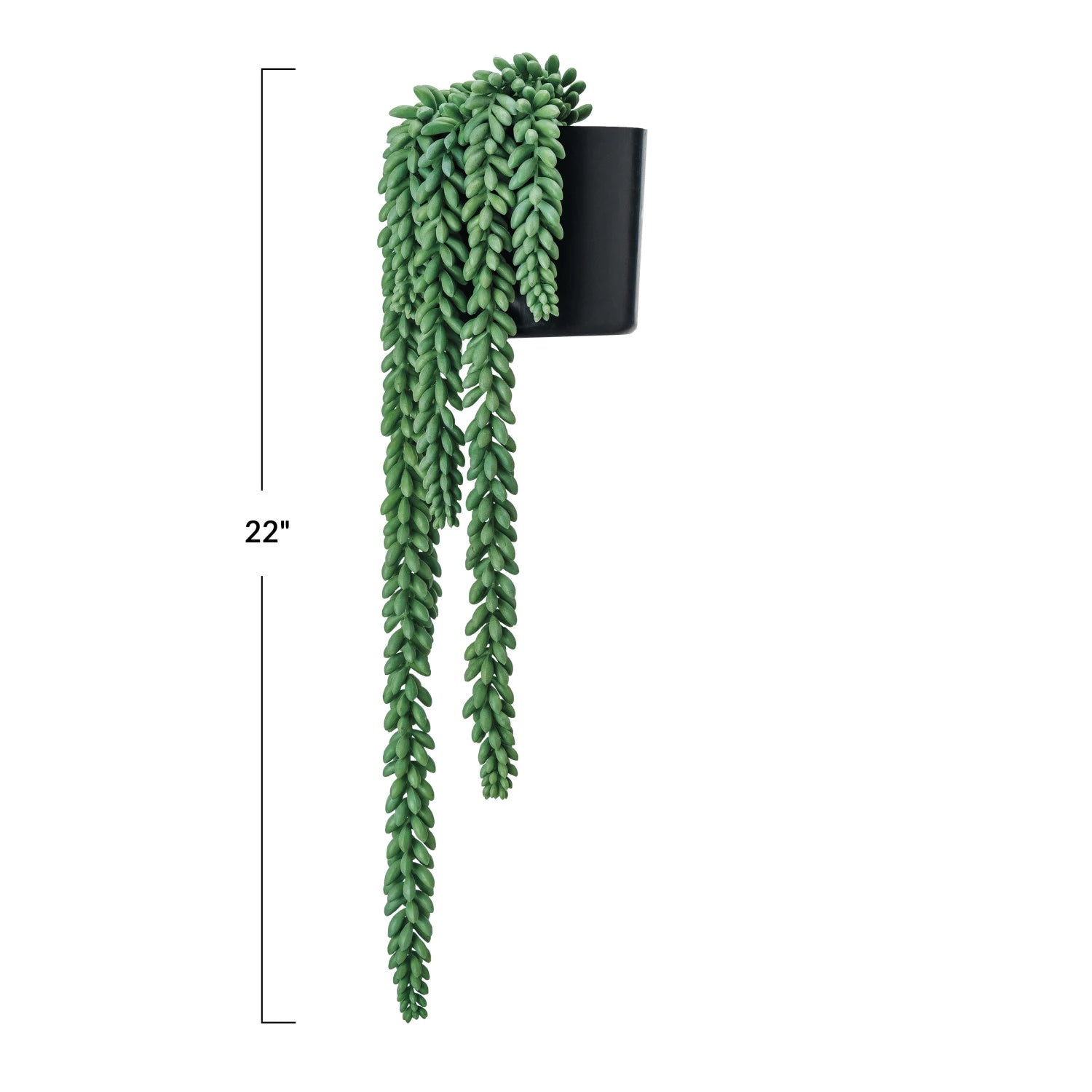 fake donkey tail succulent Faux Donkey Tail Plant in Plastic Pot