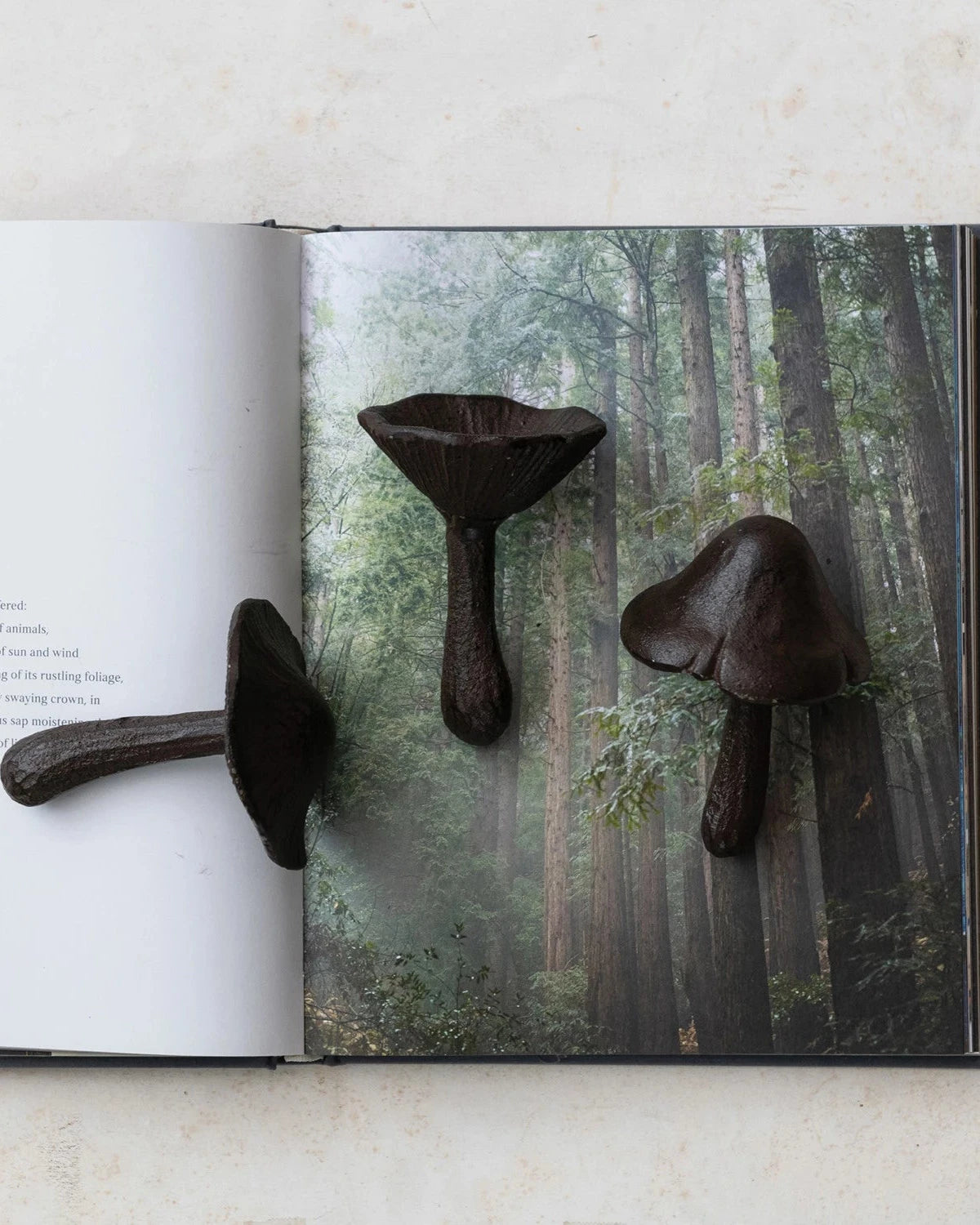 Cast Iron Mushroom