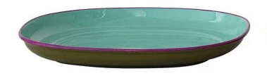 Enameled Stainless Steel Plate w/ Colored Edge